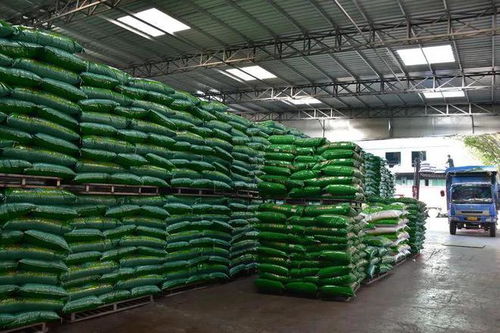 全國首家牛蛙料破十萬噸 今年牛蛙料挑戰15萬噸 潮汕本土老牌料企的決心與底氣